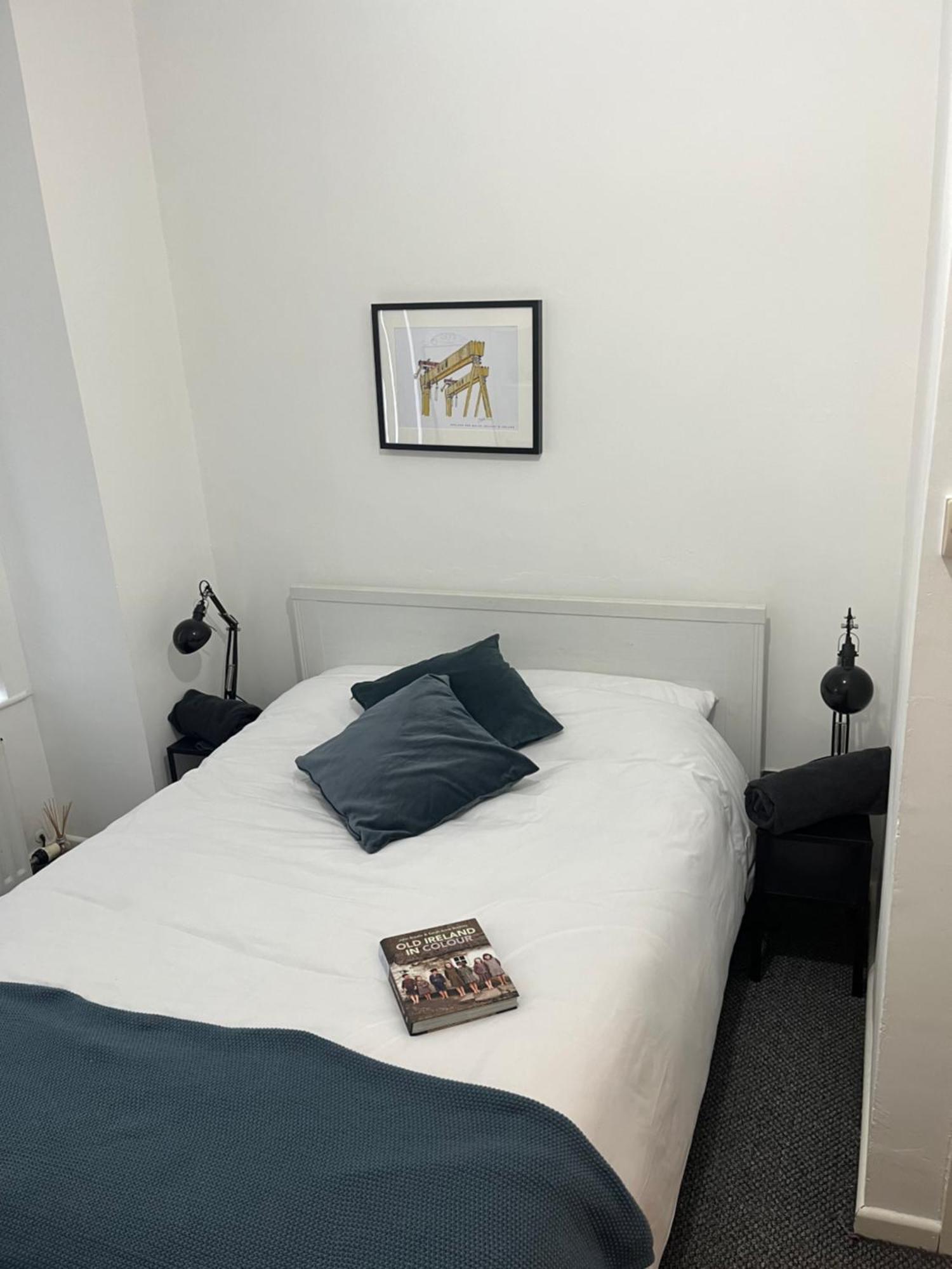 Loganberry Apartment Belfast Eksteriør bilde