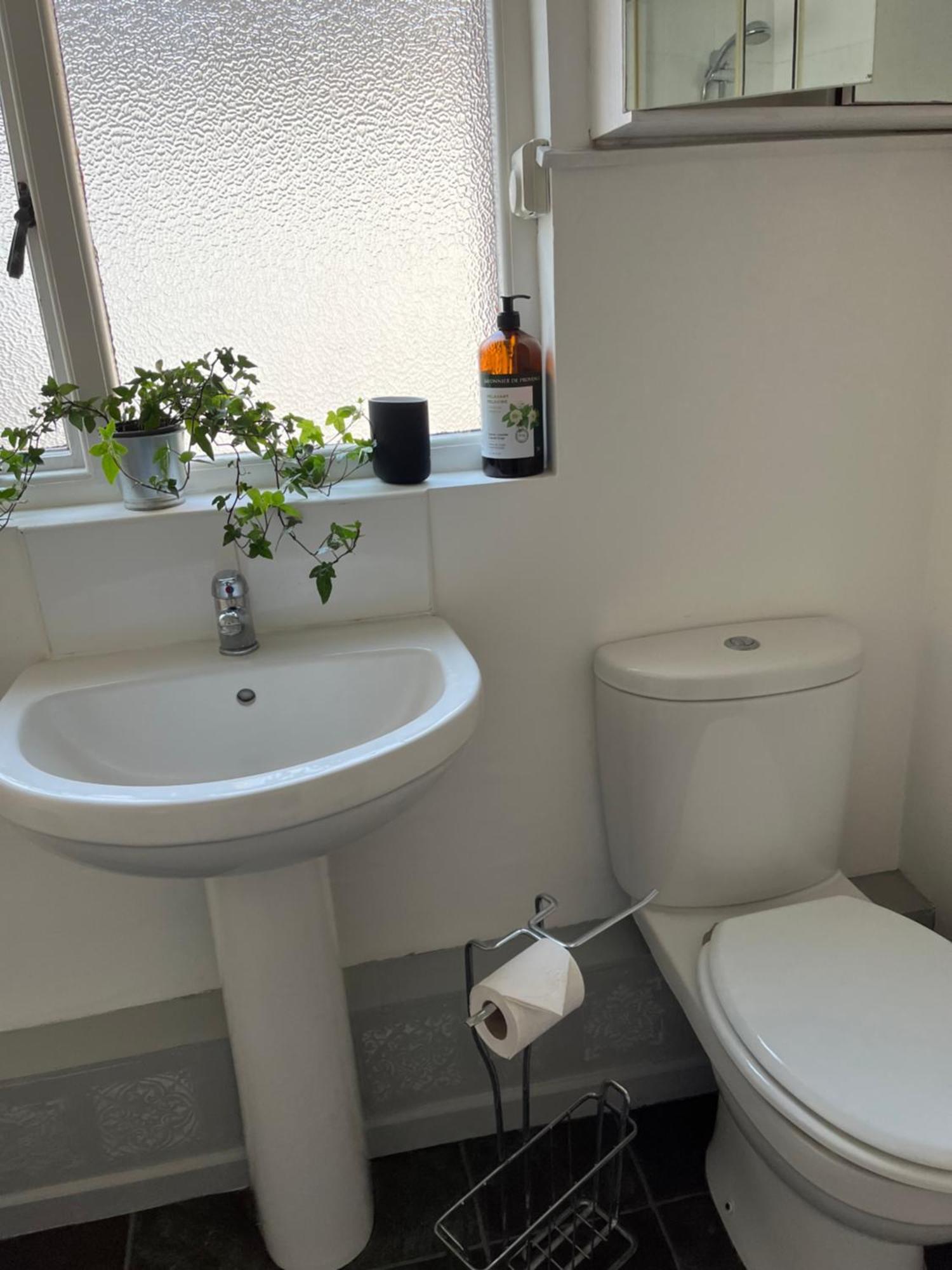 Loganberry Apartment Belfast Eksteriør bilde