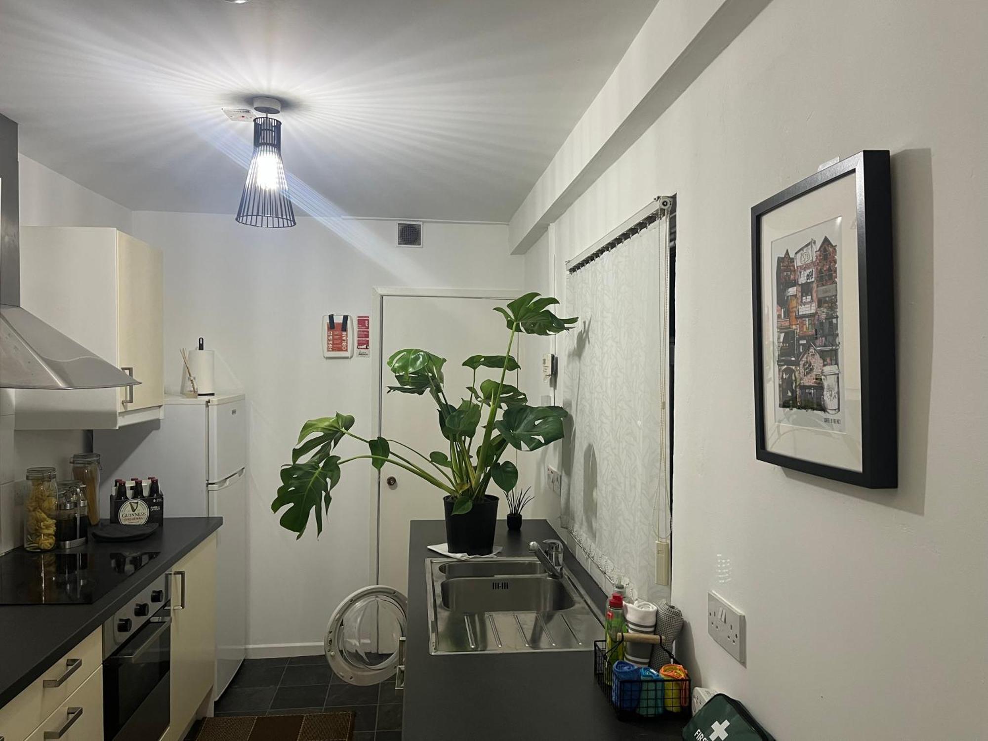 Loganberry Apartment Belfast Eksteriør bilde